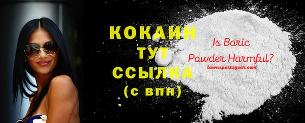 молекула духа Белокуриха