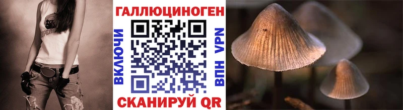 Галлюциногенные грибы прущие грибы  Купить где  Малмыж 